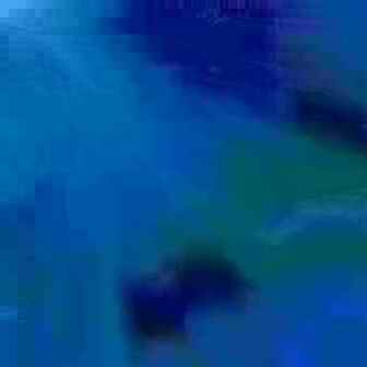 exposed-fag-ZoongSeon-Yi-p-02a-02b-00-01-02-03-04-06-10-35dfde8653c414b141.jpg