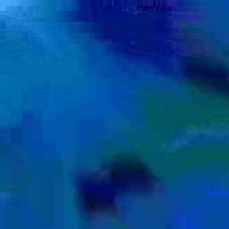 exposed-fag-ZoongSeon-Yi-p-02a-02b-00-01-02-03-04-06-10-35e637851986293013.jpg