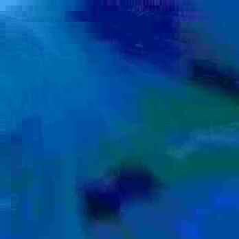 exposed-fag-ZoongSeon-Yi-p-02a-02b-00-01-02-03-04-06-10-35f359152de71cae52.jpg
