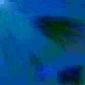 exposed-fag-ZoongSeon-Yi-p-02a-02b-00-01-02-03-04-06-10-3989ef010aa738fdfd.jpg