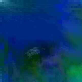 exposed-fag-ZoongSeon-Yi-p-02a-02b-00-01-02-03-04-06-10-4341c4a13d754b6130.jpg