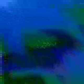 exposed-fag-ZoongSeon-Yi-p-02a-02b-00-01-02-03-04-06-10-4501ed1c015e561bf9.jpg