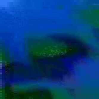exposed-fag-ZoongSeon-Yi-p-02a-02b-00-01-02-03-04-06-10-4586b23116d3cb63b1.jpg