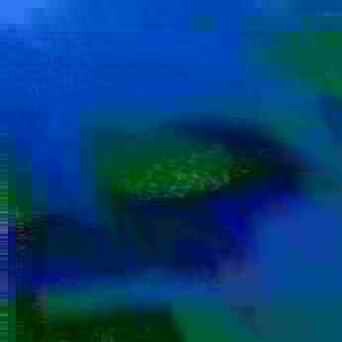 exposed-fag-ZoongSeon-Yi-p-02a-02b-00-01-02-03-04-06-10-45e5a2753fecbbcbfa.jpg