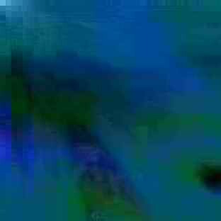 exposed-fag-ZoongSeon-Yi-p-02a-02b-00-01-02-03-04-06-10-46d0a276fb3402088f.jpg