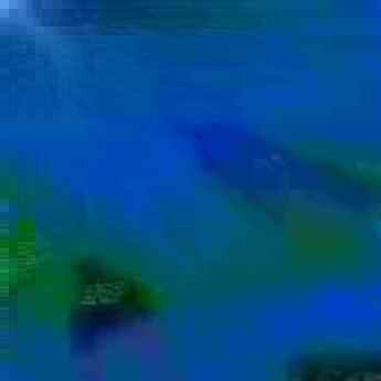 exposed-fag-ZoongSeon-Yi-p-02a-02b-00-01-02-03-04-06-10-4814a39c0e027a8a99.jpg