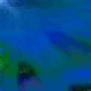 exposed-fag-ZoongSeon-Yi-p-02a-02b-00-01-02-03-04-06-10-4830b4dcd9b681387e.jpg