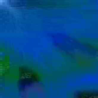 exposed-fag-ZoongSeon-Yi-p-02a-02b-00-01-02-03-04-06-10-483ee1412c9942c442.jpg