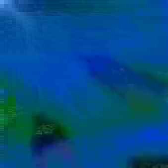 exposed-fag-ZoongSeon-Yi-p-02a-02b-00-01-02-03-04-06-10-485ef3f44a62f68a31.jpg
