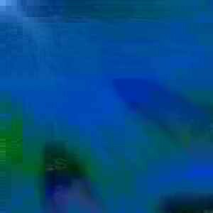 exposed-fag-ZoongSeon-Yi-p-02a-02b-00-01-02-03-04-06-10-4891bb4ffbb7a70738.jpg