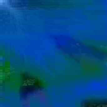 exposed-fag-ZoongSeon-Yi-p-02a-02b-00-01-02-03-04-06-10-48a8d2aa5e6c745bdd.jpg