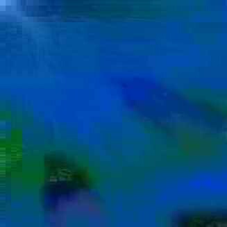 exposed-fag-ZoongSeon-Yi-p-02a-02b-00-01-02-03-04-06-10-48eadc6337fd4c54a9.jpg