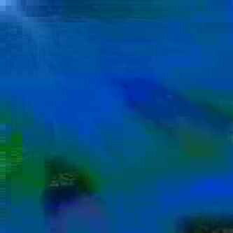 exposed-fag-ZoongSeon-Yi-p-02a-02b-00-01-02-03-04-06-10-48f06744c2fe07e16a.jpg