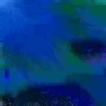 exposed-fag-ZoongSeon-Yi-p-02a-02b-00-01-02-03-04-06-10-49260d36fc61008cf5.jpg