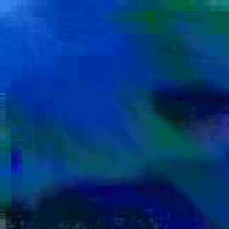 exposed-fag-ZoongSeon-Yi-p-02a-02b-00-01-02-03-04-06-10-4929d7092fa712f85d.jpg