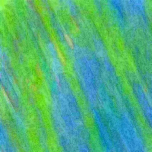 010.jpg