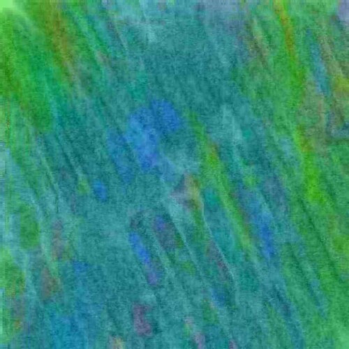 0125e9dbc3b8b369620.jpg