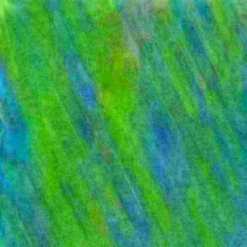 020185ea113e321434b.jpg