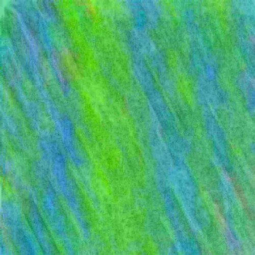 025248c546c45960e0f.jpg