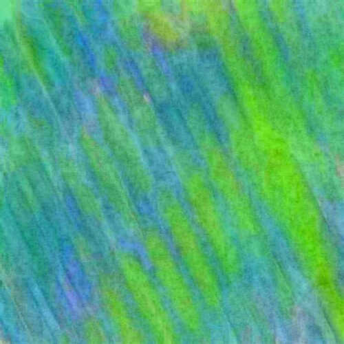 047.jpg