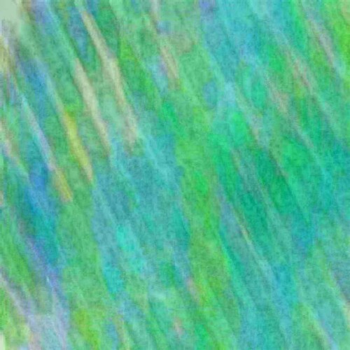 exposed-fag-00311d648deea3d0aa35.jpg