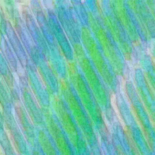exposed-fag-ZoongSeon-Yi-p-02a-02b-00-01-02-03-04-06-10-01a6ce55ae37bee7b2.jpg