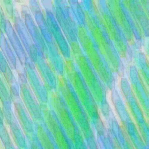 exposed-fag-ZoongSeon-Yi-p-02a-02b-00-01-02-03-04-06-10-01ba3efb90daf3dbb1.jpg