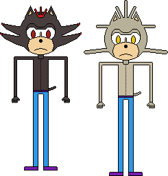 New-SS-star-design-pair-picture.png