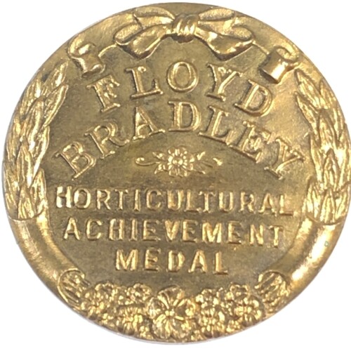 CD254-38-1.jpg