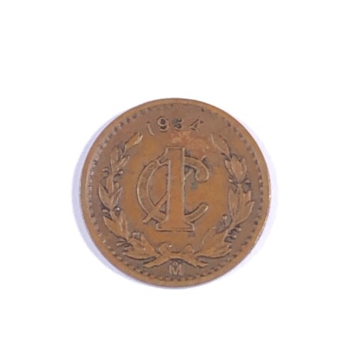 TCD261-13-1.jpg