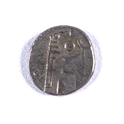 TCD261-5-1.jpg