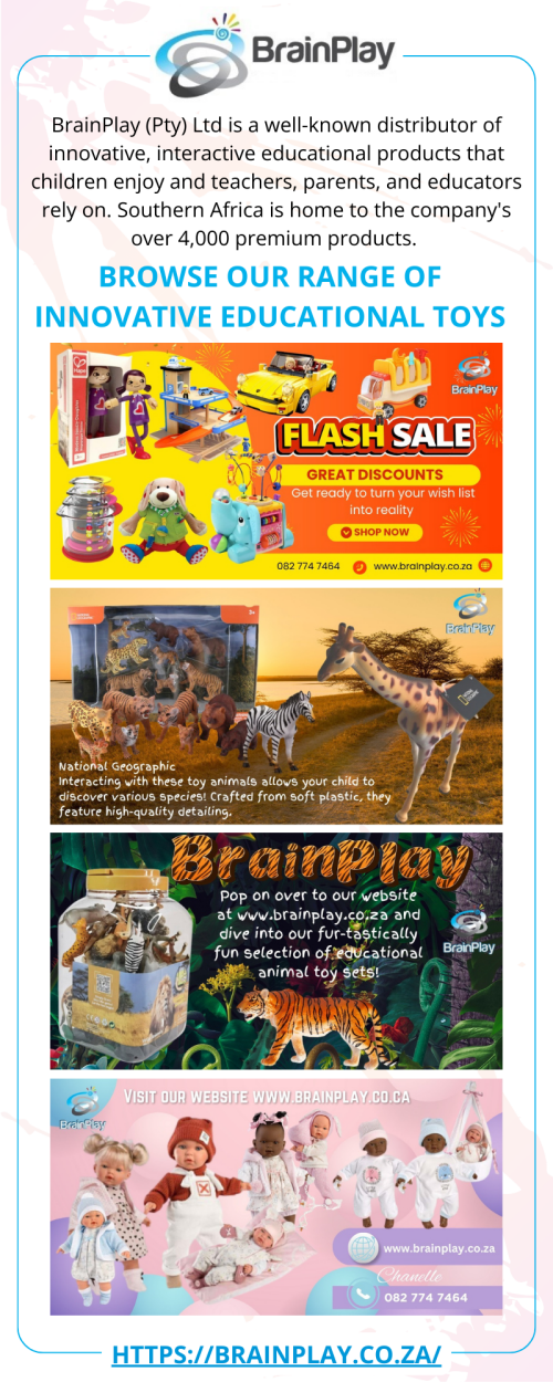 BrainPlay---Infographic-November-2024.png