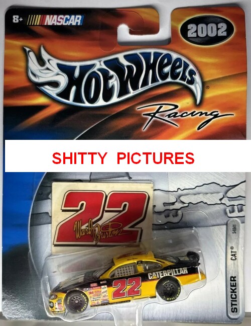 pp.jpg
