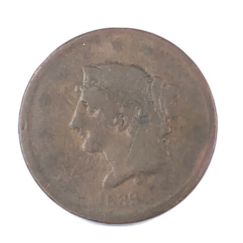 TCD267-17-1.jpg