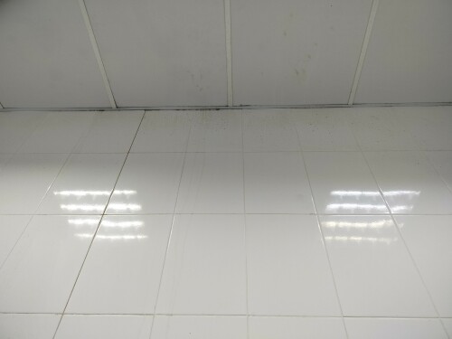 IMG20241122161016.jpg