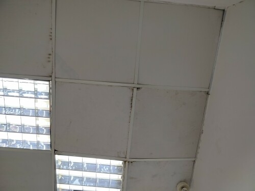 IMG20241122161030.jpg