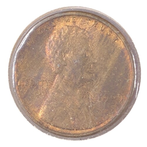 TCD269-19-1.jpg