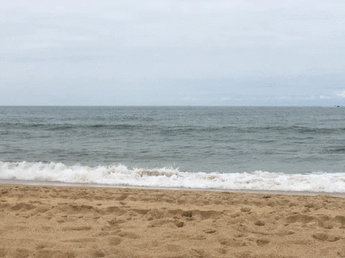 1.gif
