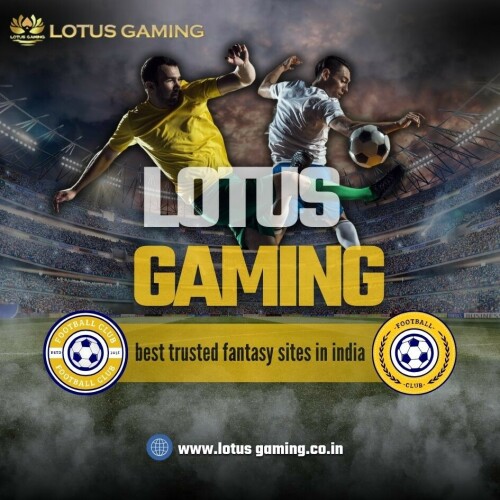 7122024-lotus-gaming-image.jpg