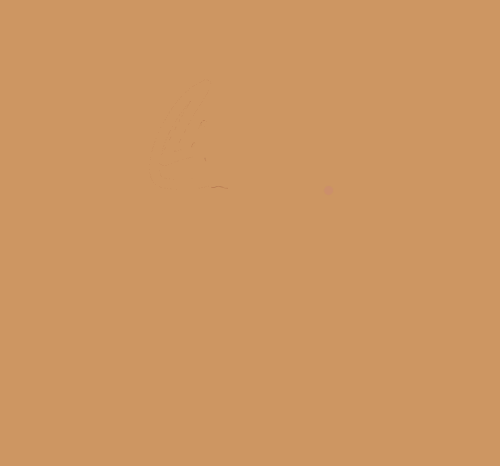Skin-I.png