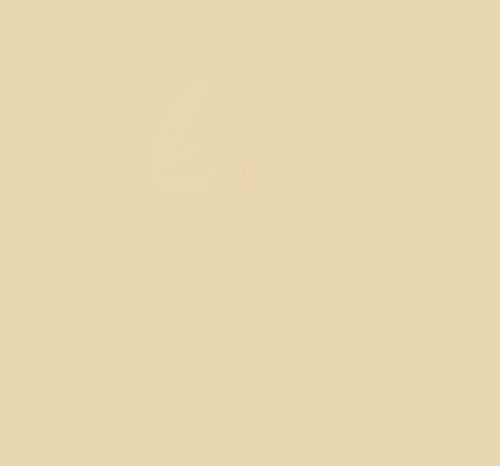 Skin-N.png