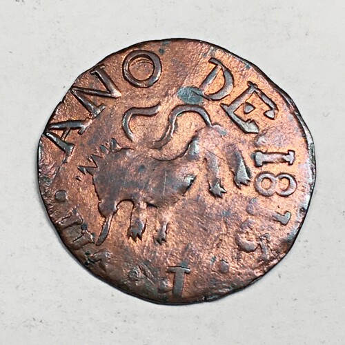 T241204-9-1.jpg
