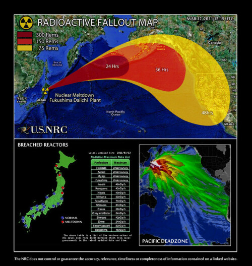 55482acd-99ff-43d7-b01c-c6a4c965abe6.jpg
