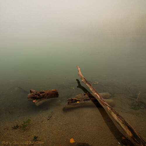 64754d81-d940-499b-96d0-269095f8dfae.jpg