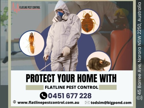 Pest-Control-Central-Coast---Flatline-Pest-Control-2.jpg