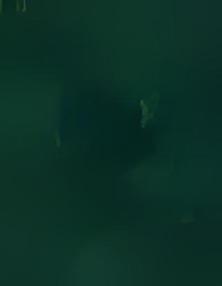0101000020E6100000BD99D8492BB24240ABC5F18D32E74B40.jpg