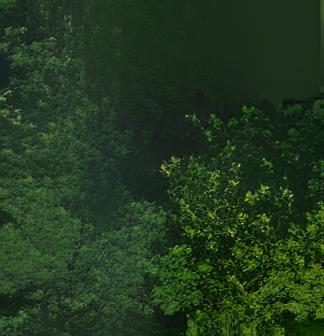 0101000020E6100000C4779A80EA403E40E190105CDAFF4D40.jpg
