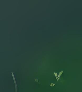 0101000020E6100000E0F938DF37CB424012E152DA8ADF4B40.jpg