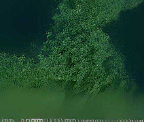 0101000020E6100000E63ACFD0A6D4424006BF6331D7E14B40.jpg