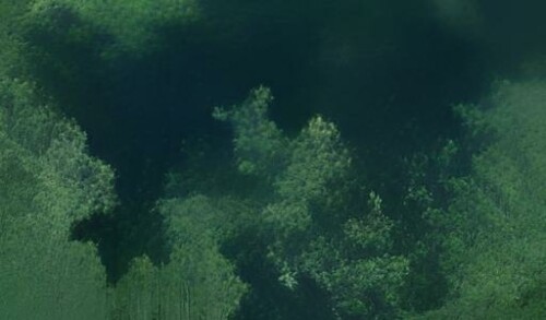 0101000020E6100000E9B1CD9061DB424063E39495B3CF4B40.jpg